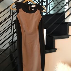 Calvin Klein Fitted Dress - Size 4